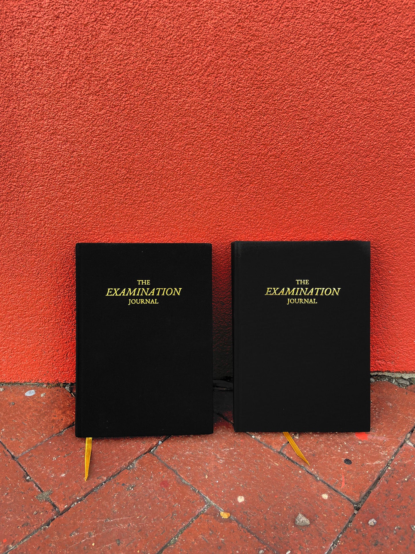 2-Pack of Examination Journals